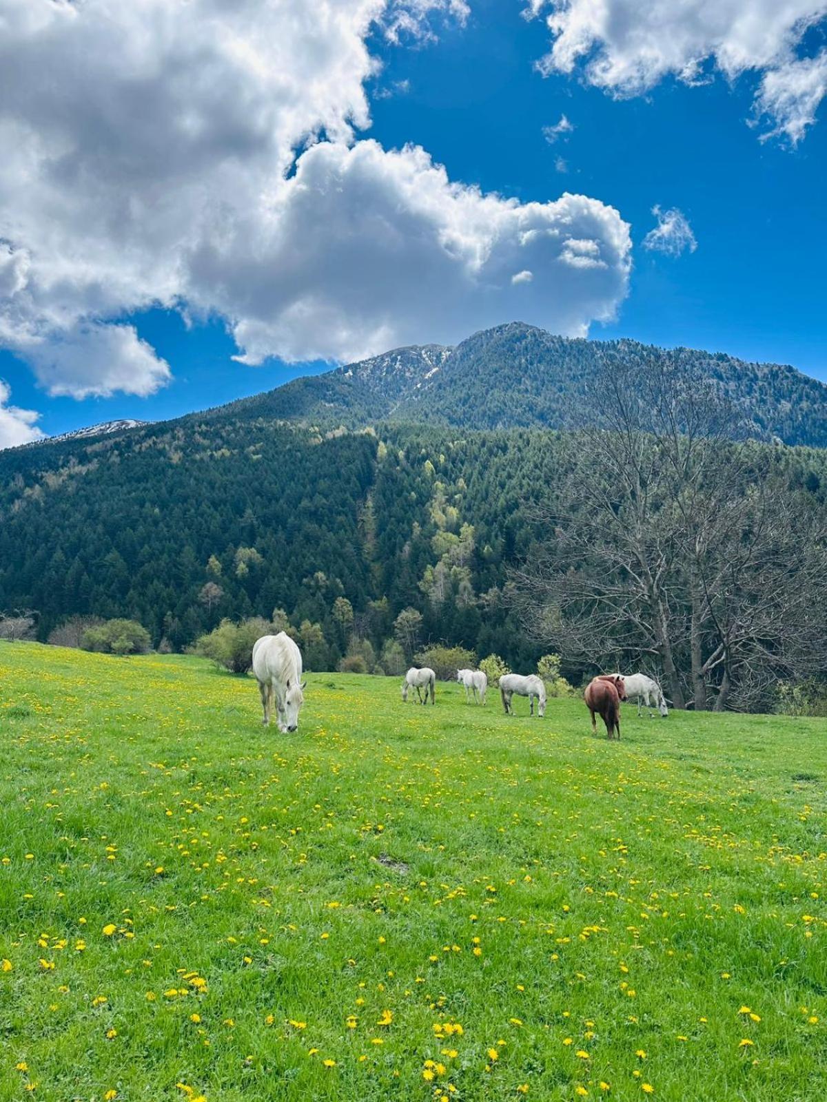 Os de Civís Hotel Valls Valira מראה חיצוני תמונה